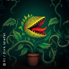 Theater Krefeld und M&ouml;nchengladbach