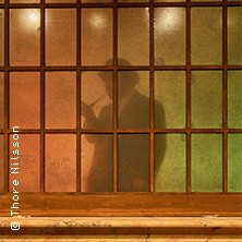 Schleswig-Holsteinisches Landestheater und Sinfonieorchester