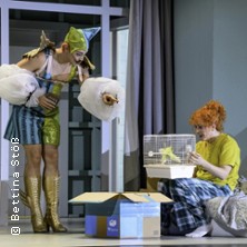 Die Zauberfl&ouml;te