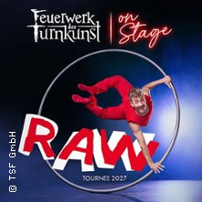 Feuerwerk der Turnkunst