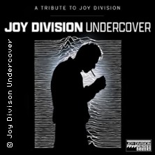 Joy Division Undercover