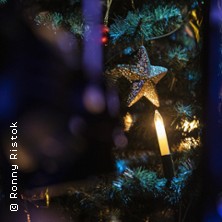 Weihnachtskonzert 2026/27 - Theater Altenburg Gera