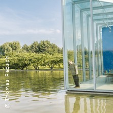 Der Fall McNeal - D&uuml;sseldorfer Schauspielhaus