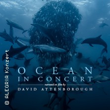 Ocean in Concert