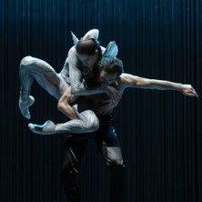 Schwanensee. Rotbarts Geschichte - Nieders&auml;chsische Staatstheater Hannover