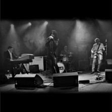 The Doors Tribute Band - The Doors Rising