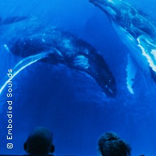 Sounds of the Ocean - Planetarium Hamburg