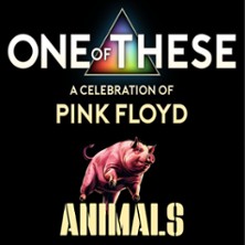 One Of These &ndash; A celebration of Pink Floyd