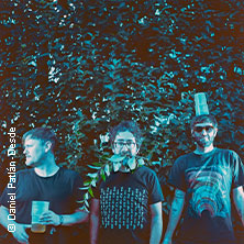 Beak>