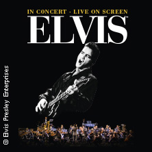 Elvis in Concert - Das Original aus Graceland