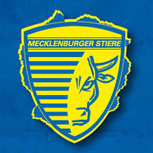 Mecklenburger Stiere
