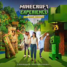 Minecraft Experience