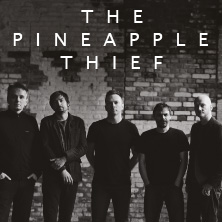 The Pineapple Thief