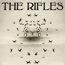 The Rifles