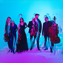 Vitamin String Quartet