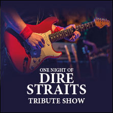 One Night of Dire Straits