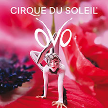 Cirque du Soleil