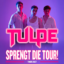 Tulpe