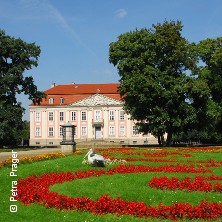 Schloss Friedrichsfelde